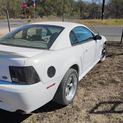 1999 Ford Mustang