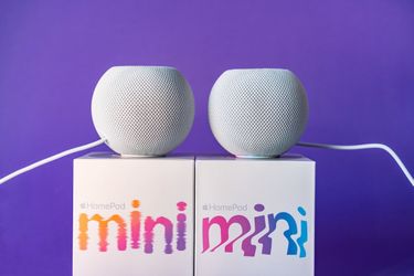 Apple Homepod Minis - Dual Set