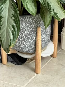 ConcretePlanter And Wooden Stand (10inch Pot)