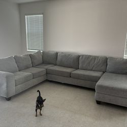 Sectional With Pull Out Bed