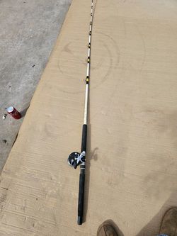 Fishing Pole For Adult Shakespeare Pole Penn Reel With Fishing