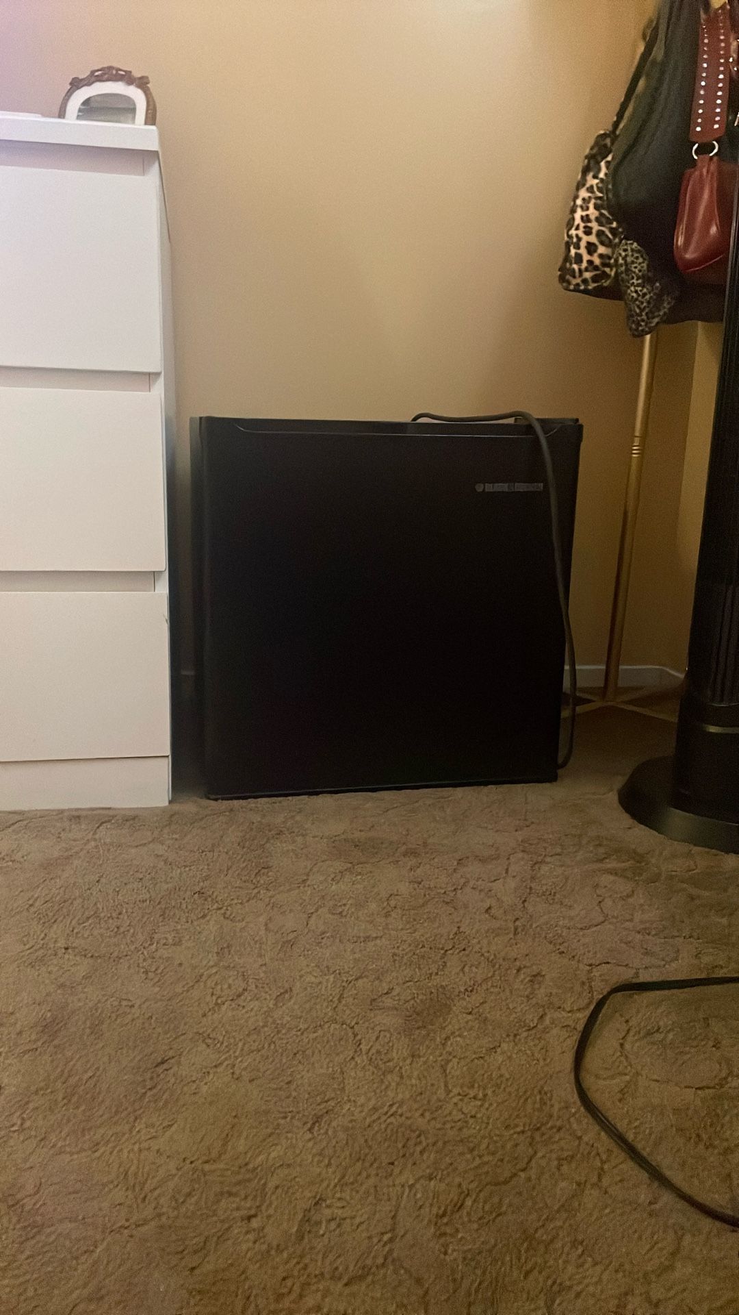 Mini Fridge