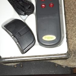 Electronic Dog Control 