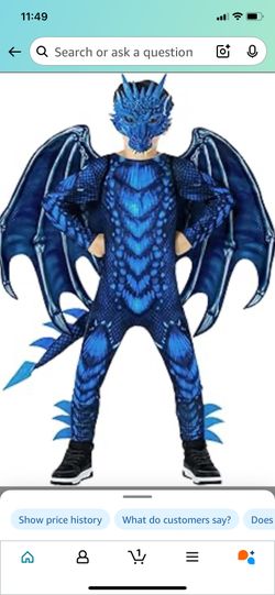 Blue Dragon Kids Costume - Size: XL - Like NEW!