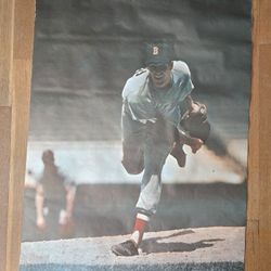 Vintage Boston Red Sox Poster