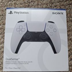 Ps5 Controller