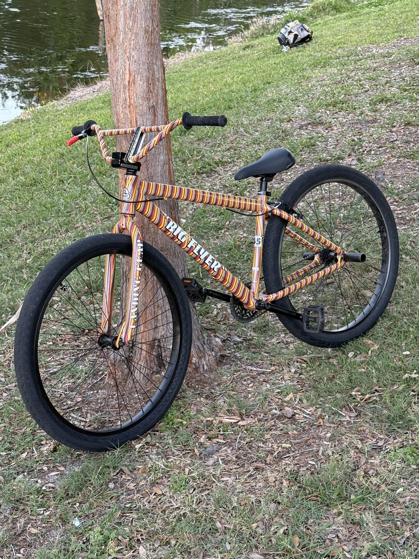 Big Flyer 29 inch