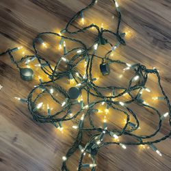 25ft String Lights With Bluetooth Speakers 