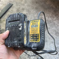Dewalt Battery and Charger