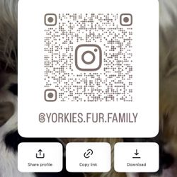 Fur Toy Size