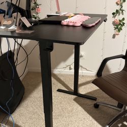 Electric Standing Desk 