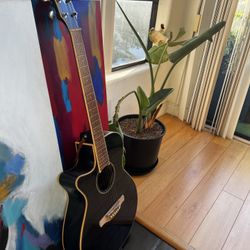 Ibanez Left-Handed Electric Acoustic Guitar