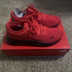 Pacer Red Pumas 