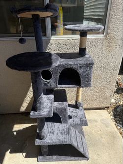 Cat stand play