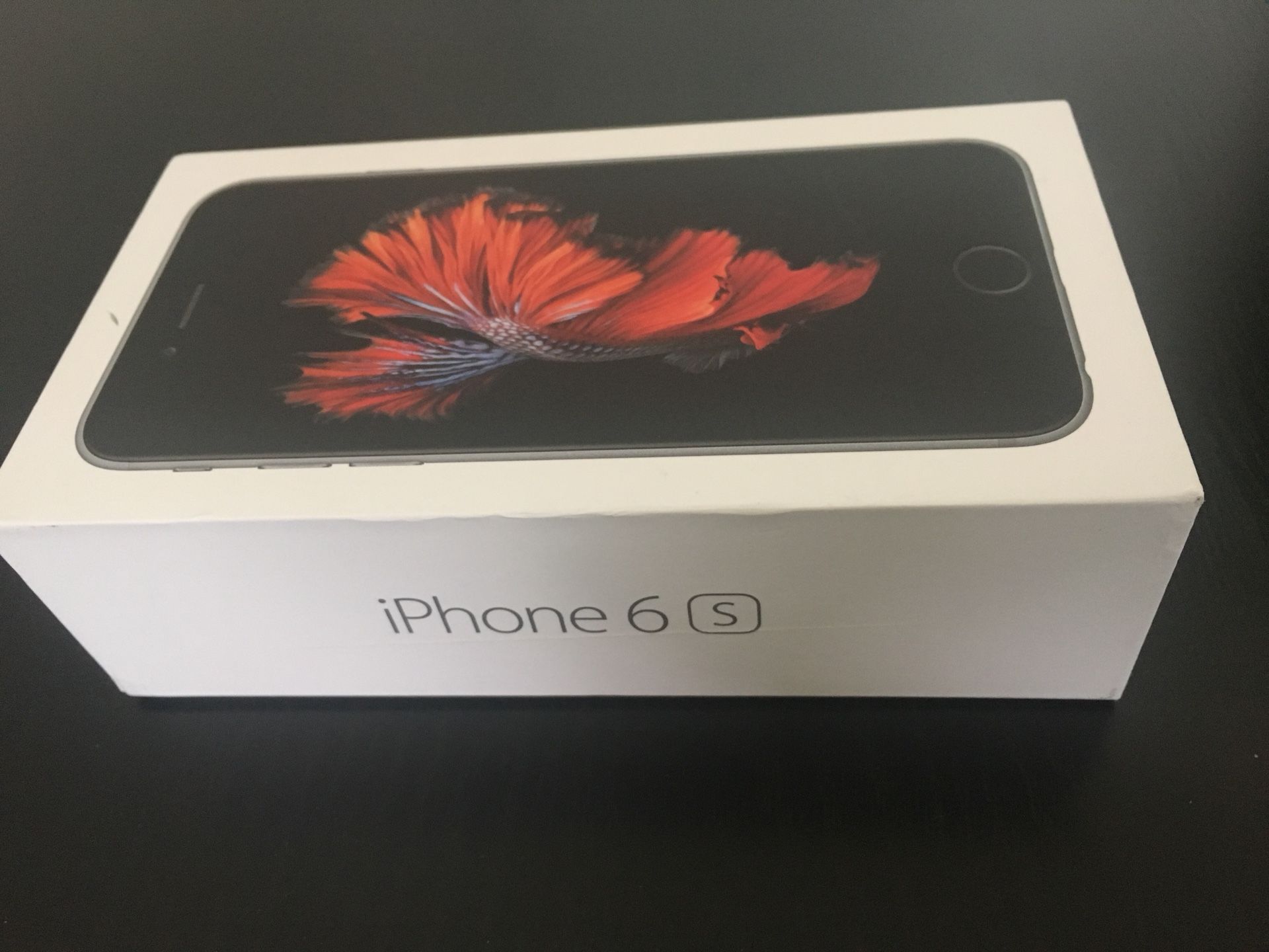 iPhone 6s box