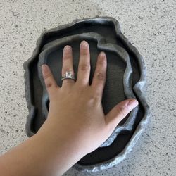 Reptile Food Plates