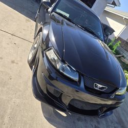1999 Ford Mustang