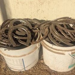 Used horse shoes