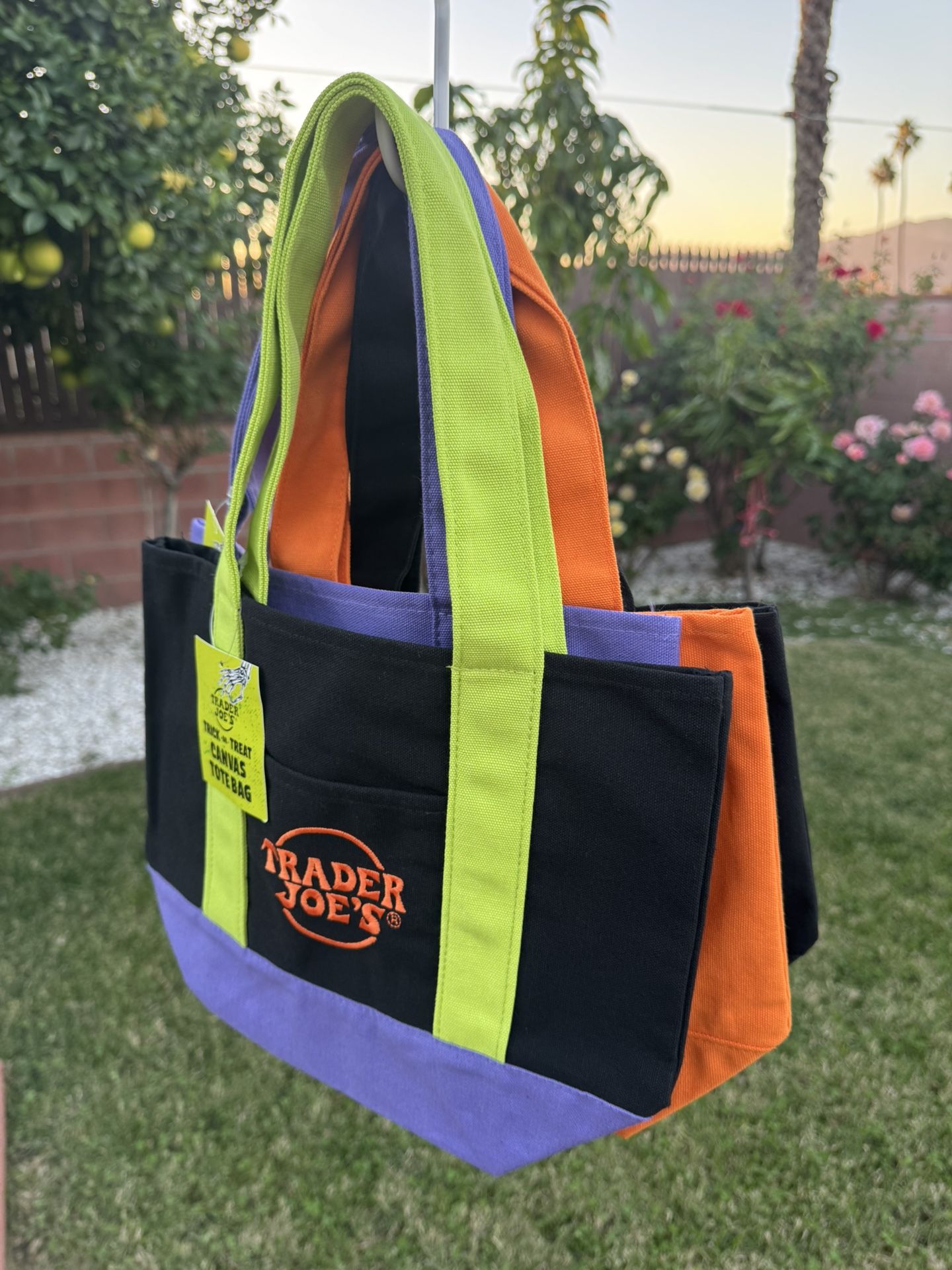 Mini Trader Joes Bags