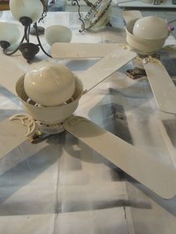 Fans Nd Light Fixture