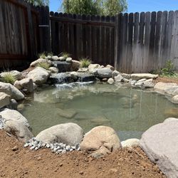 Water Features (koi Ponds ) 