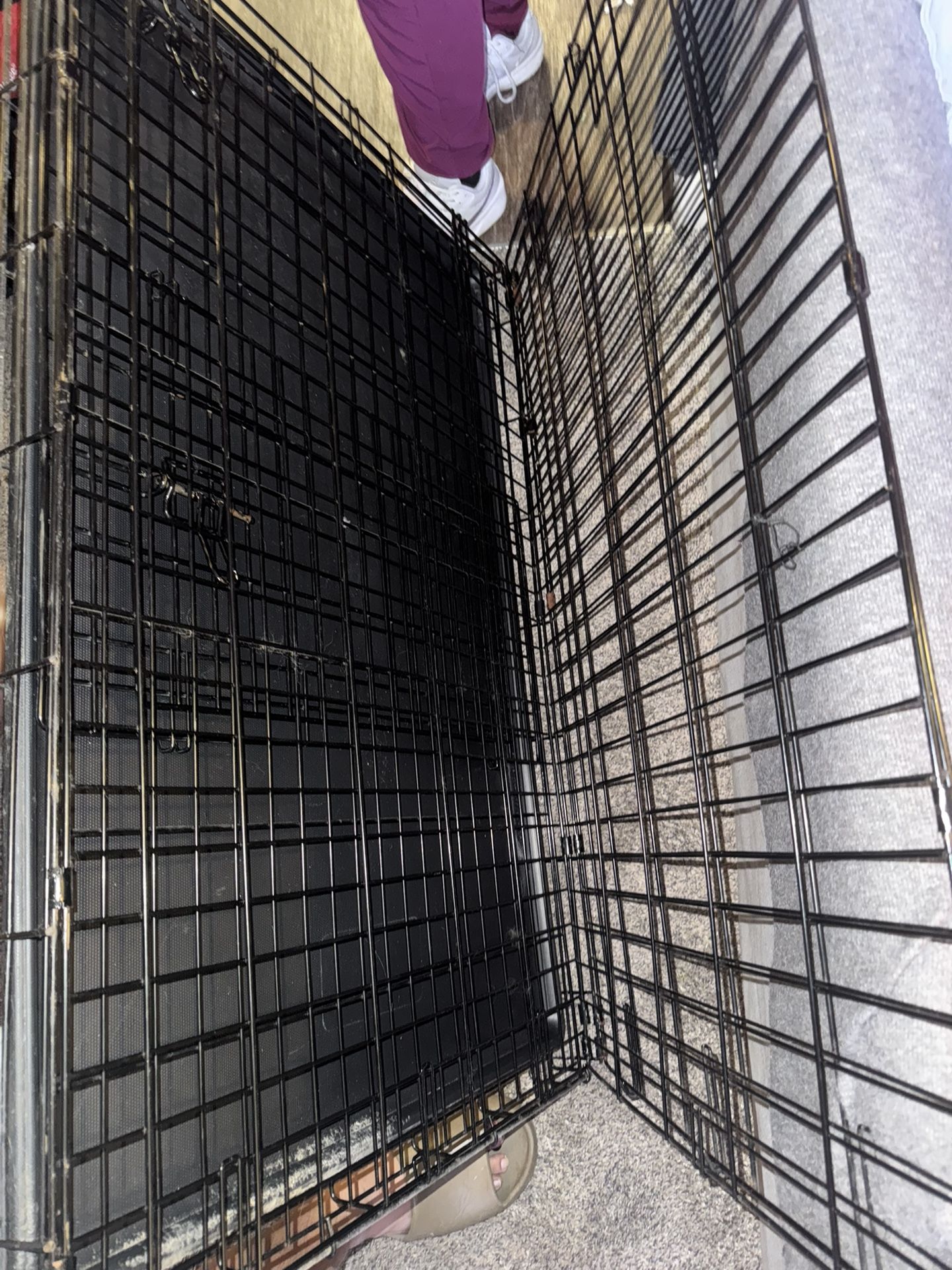 Dog Kennel