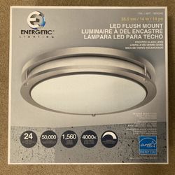 Energetic Lighting 14" LED Flush Mount Light Fixture