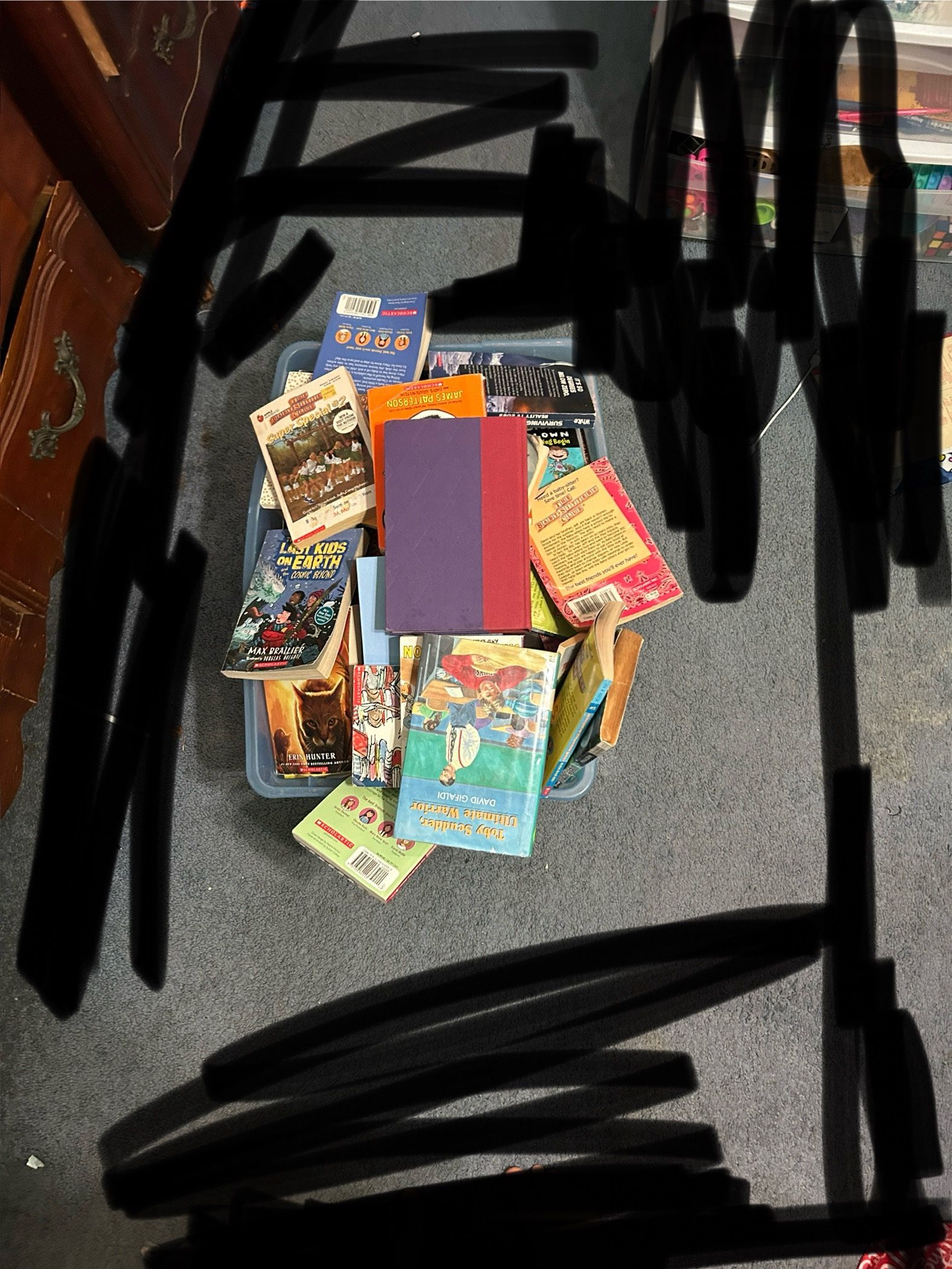 91 books of all kinds LOOK AT DESCRIPTION
