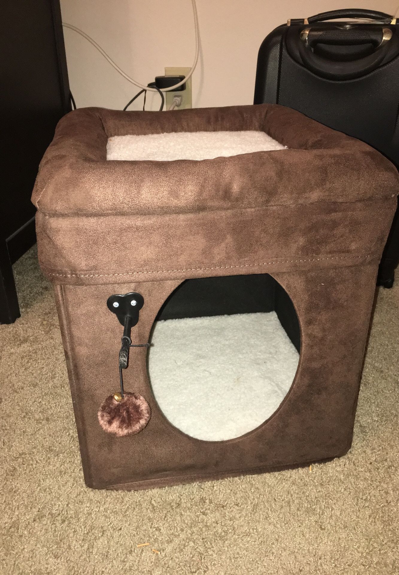 BROWN CAT CUBE