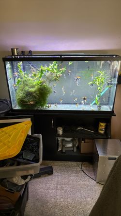 Tank for sale