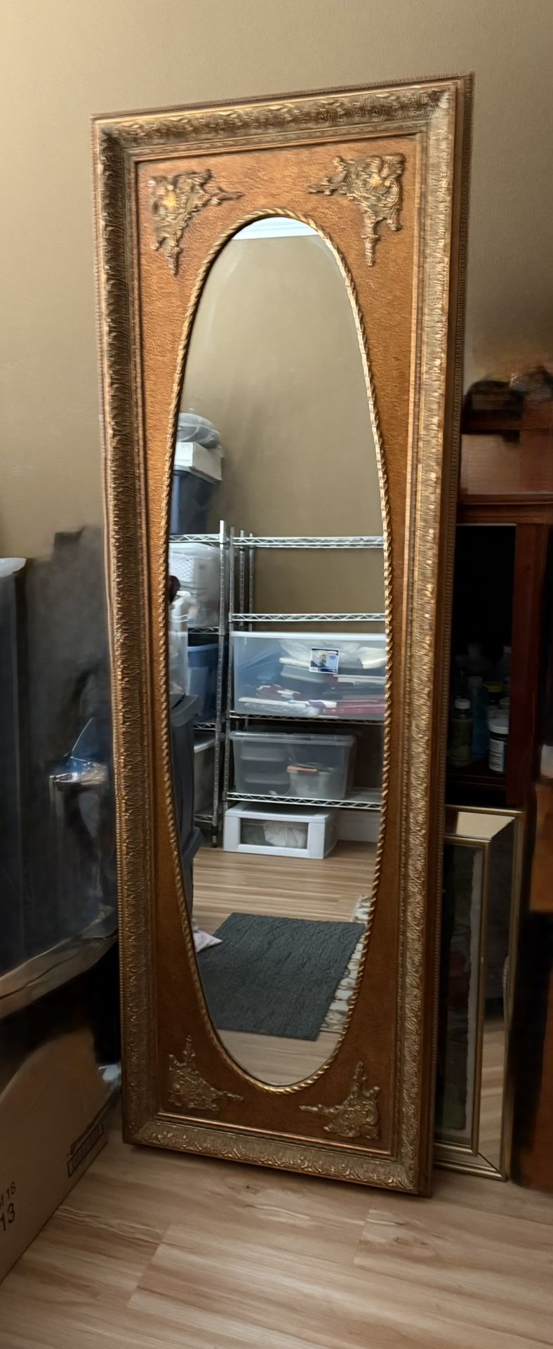 MIRROR 71x23 1/2
