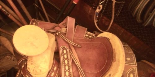 Horse saddle