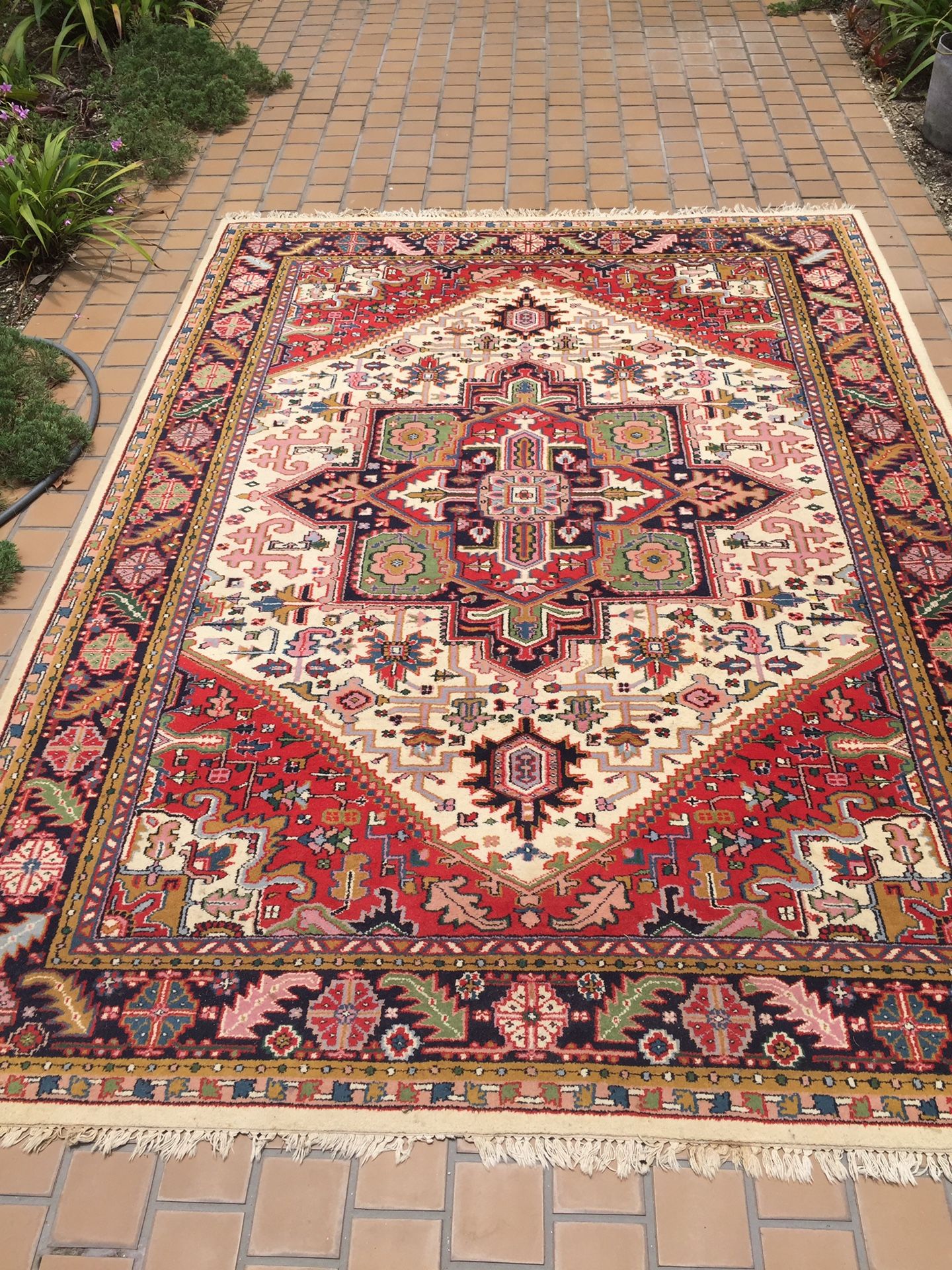 Gorgeous Oriental Rug 9’ x 12’