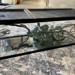 Long Reptile Terrarium
