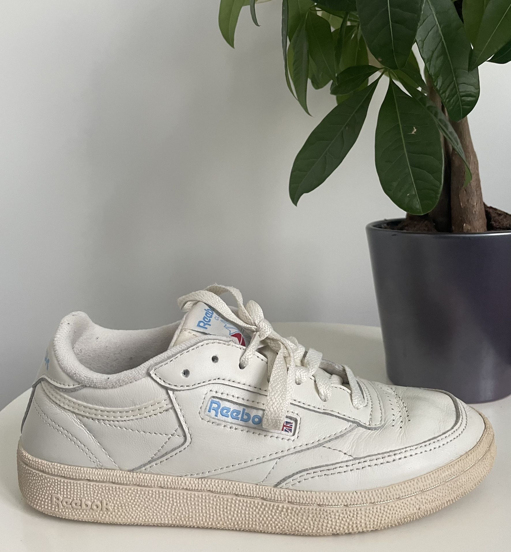 Reebok Club C 85 TV Casual White Shoe/Trainer | Women 6.5