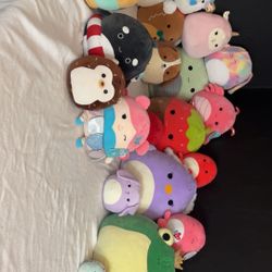 Squishmallow Collection 