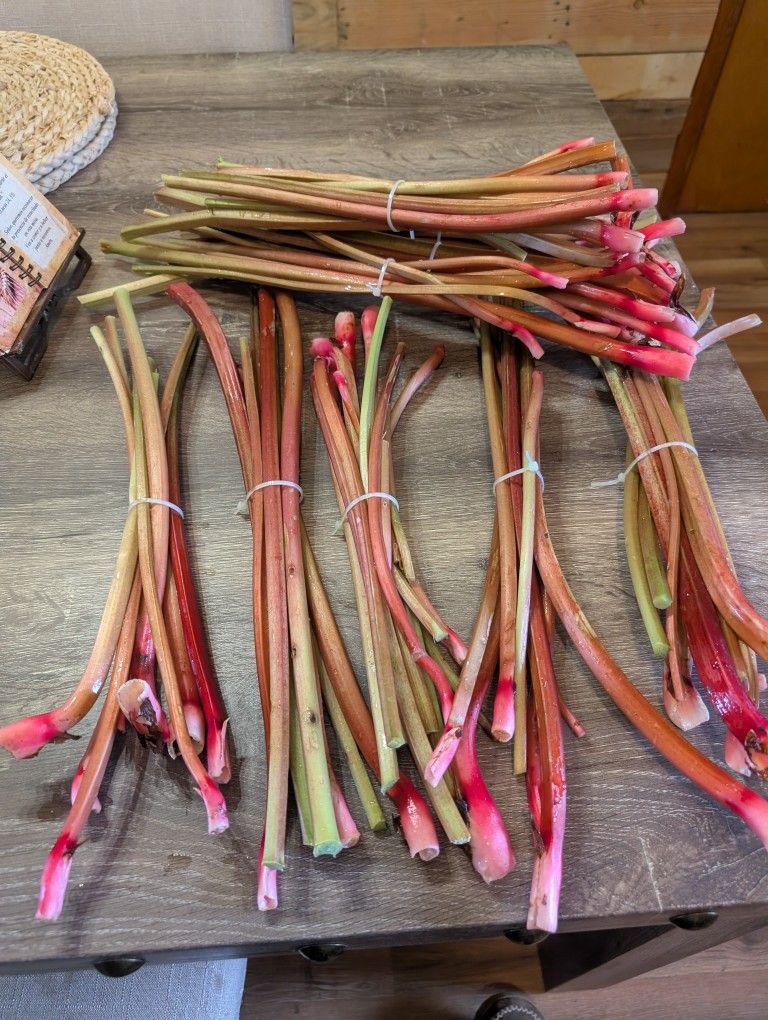 Rhubarb