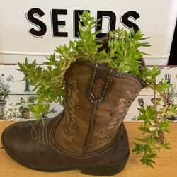 Flowers and small boot