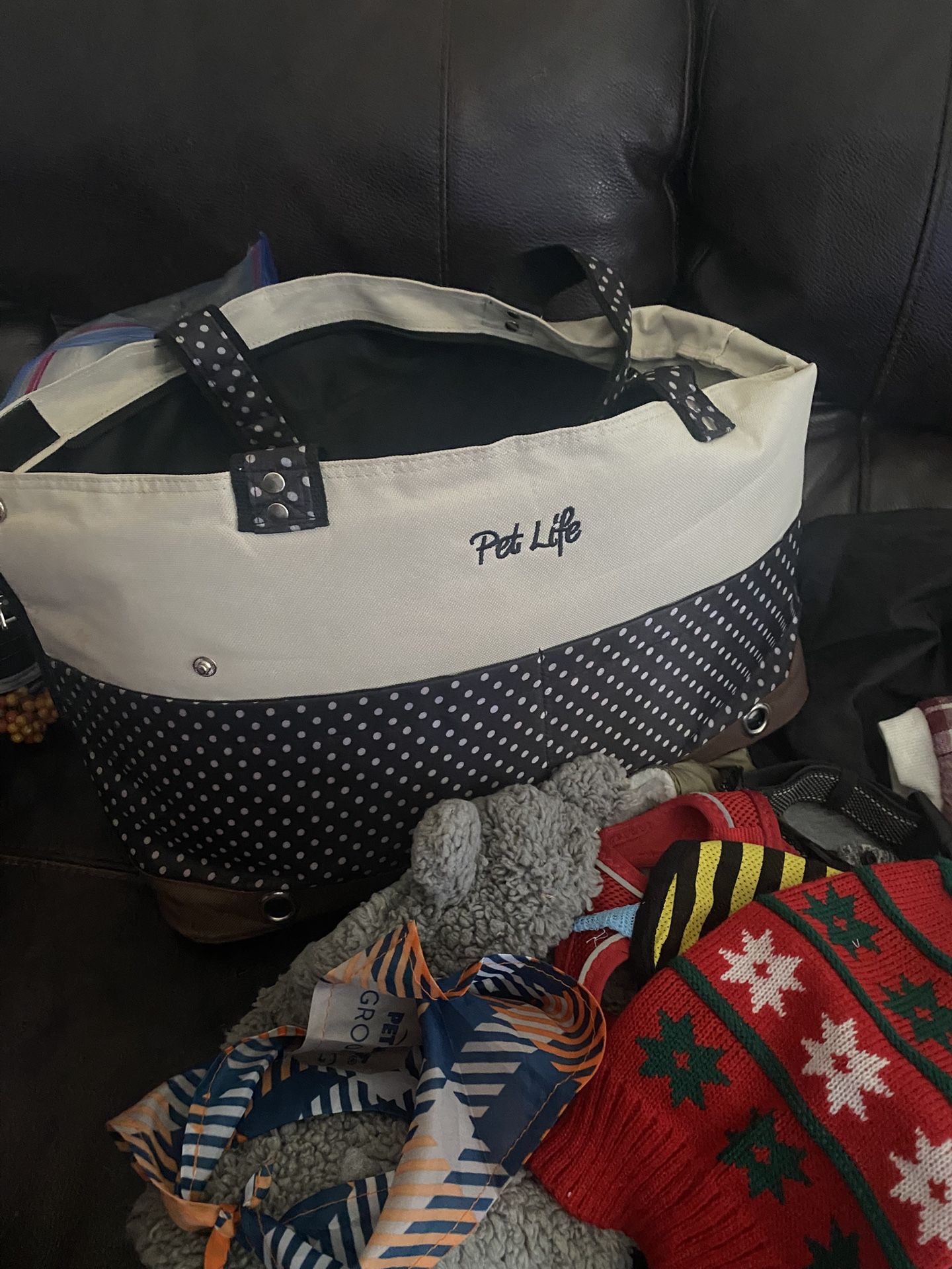Assorted Dog Items