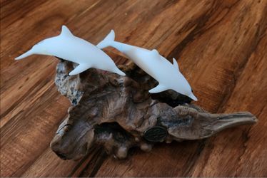 John Perry Dolphins art