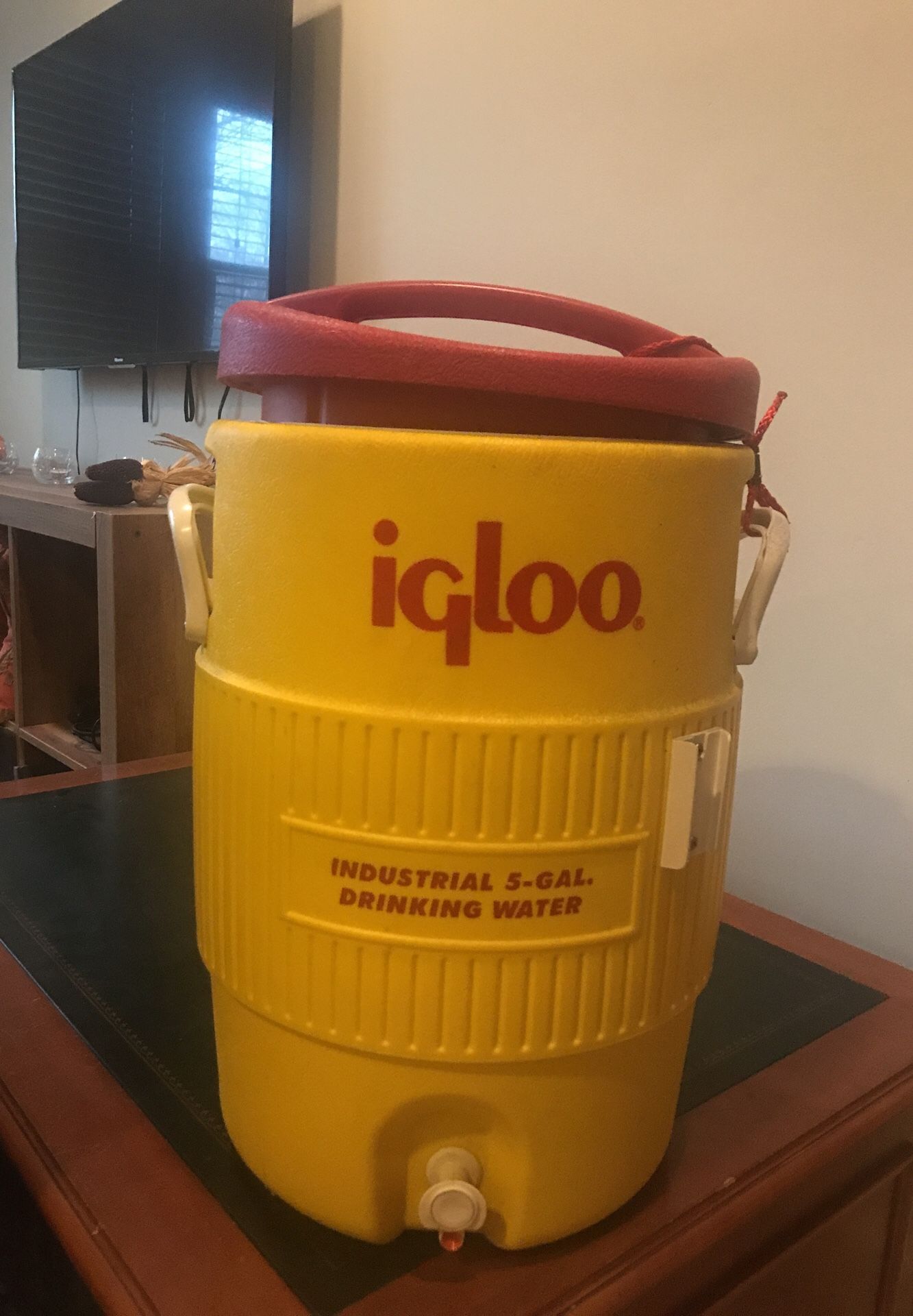 5 gallon igloo cooler