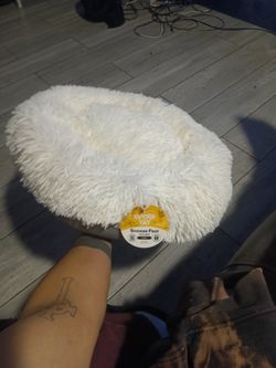 Pet Bed Small * New