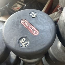 75 lb Star Trac Dumbbell – Commercial Quality