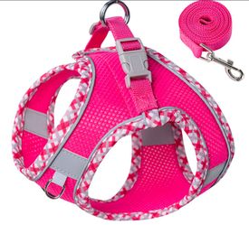 Petank No-Pull Dog Harness & Leash Set 2XS – Rose Red