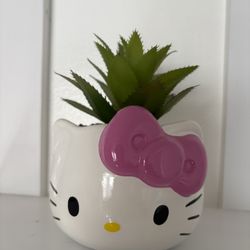 Hello Kitty Plant