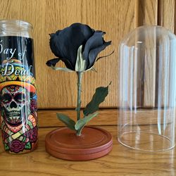 Black Rose In Glass Case 