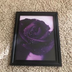 Big 13.5”x10.5” Picture Frame