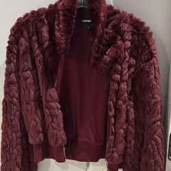 Express Women Jacket XS