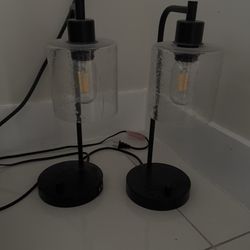2 Table Lamps 