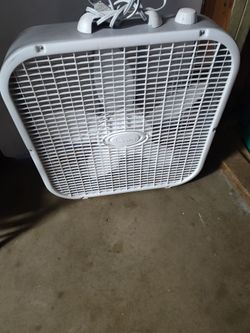 Fan